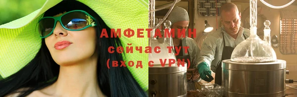 прущие грибы Баксан