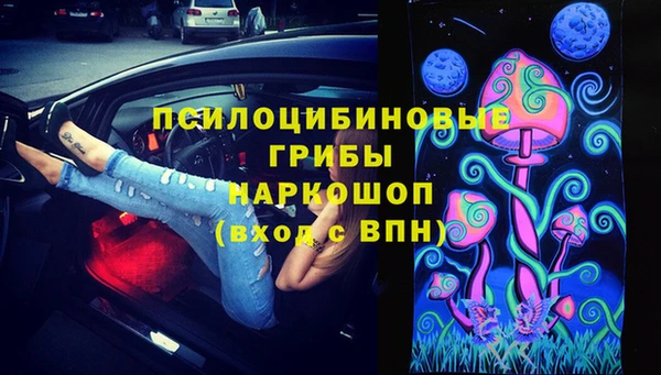 прущие грибы Баксан
