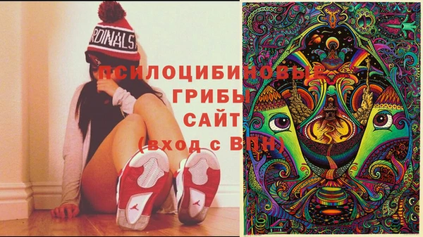 дурь Белокуриха