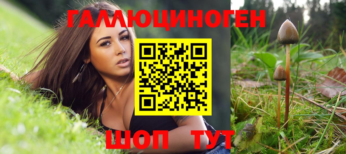 Кувандык  Псилоцибиновые грибы GOLDEN TEACHER  Вход с VPN 