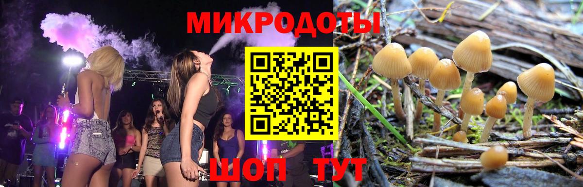 Галлюциногенные грибы Psilocybe Кувандык