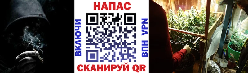 магазин    Кувандык  Шишки марихуана индика 